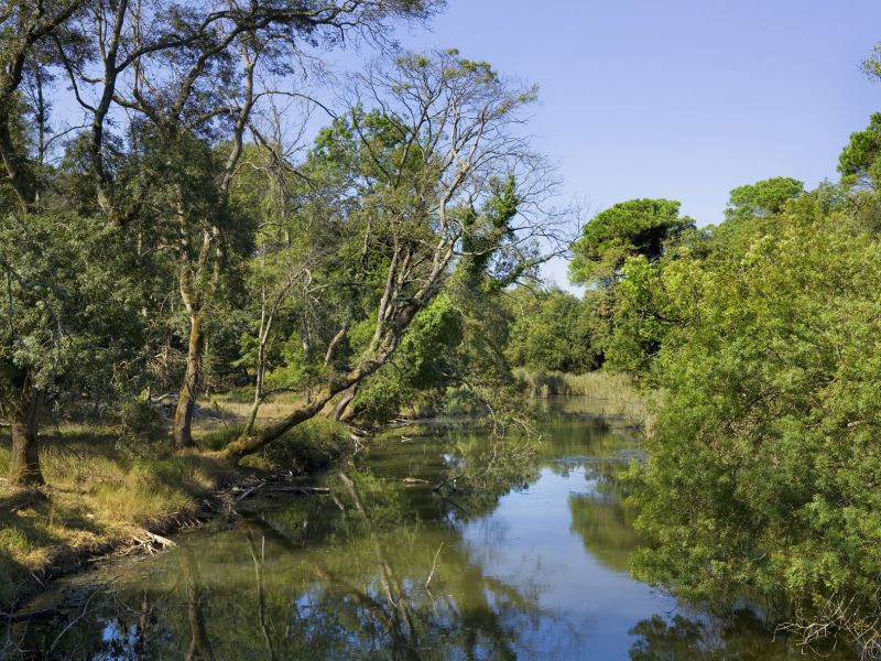 Ponte del 2 giugno, tutte le occasioni per visitare il Parco