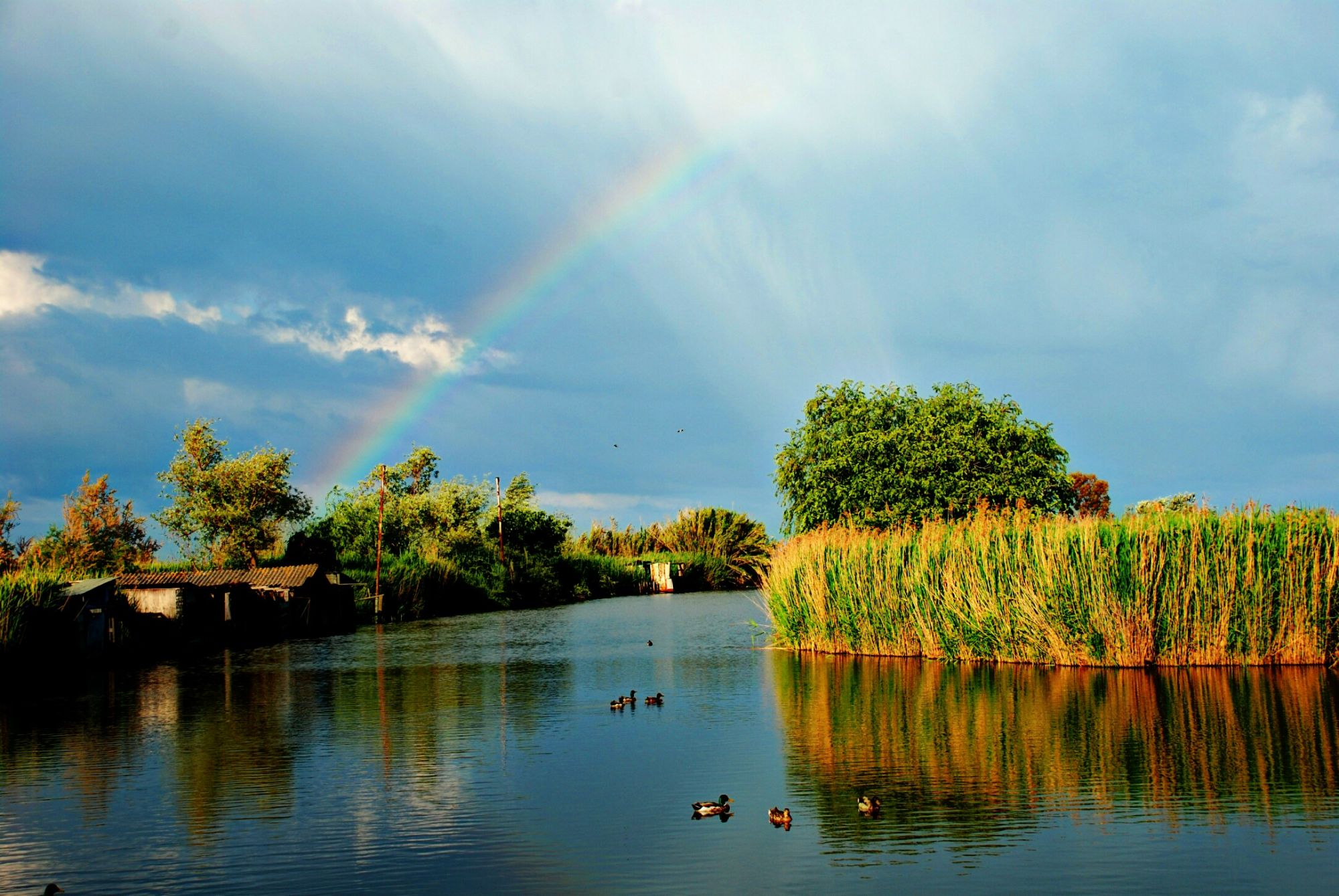 Arcobaleno sul lago