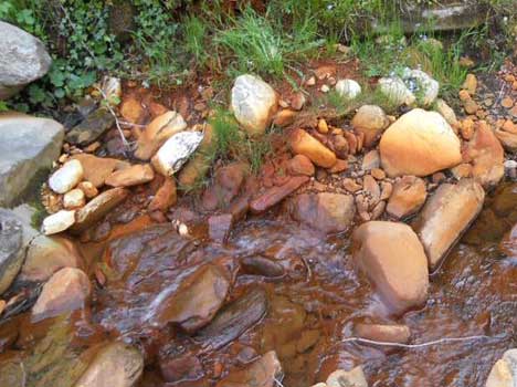 Acque rossastre del torrente Turrita Secca. “Il Comune e Gaia devono ricercare la causa”