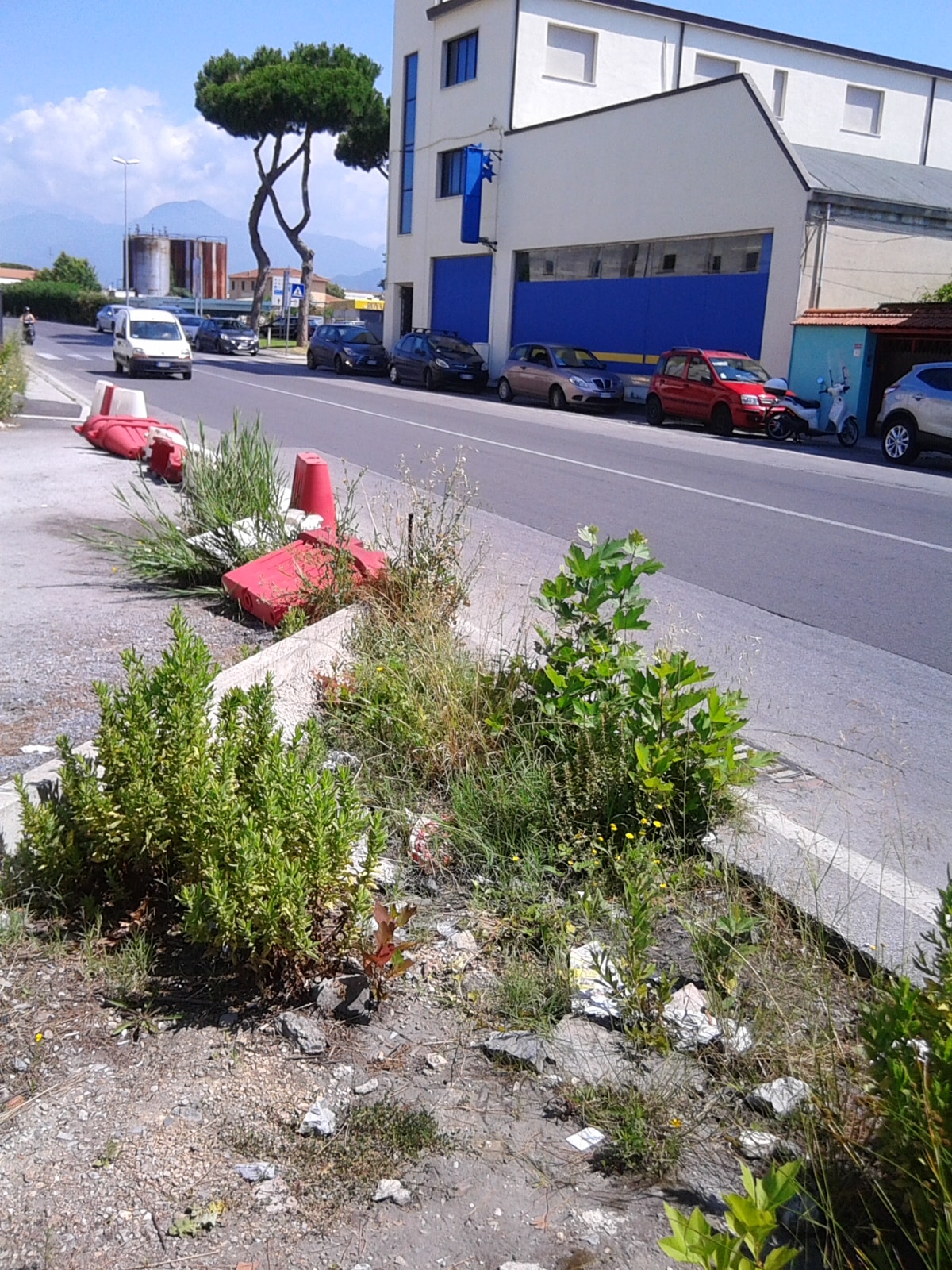 “Degrado nelle periferie di Viareggio”