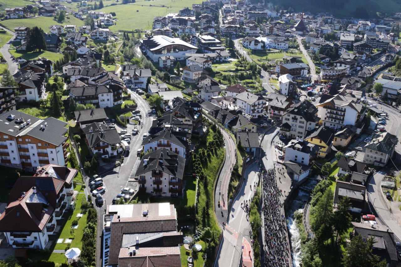 I cinghiali della Versilia si fanno onore sulle Dolomiti