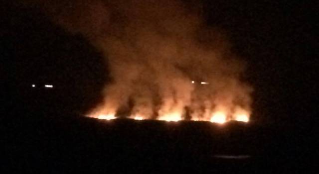 Incendi in Toscana, cinque elicotteri al lavoro