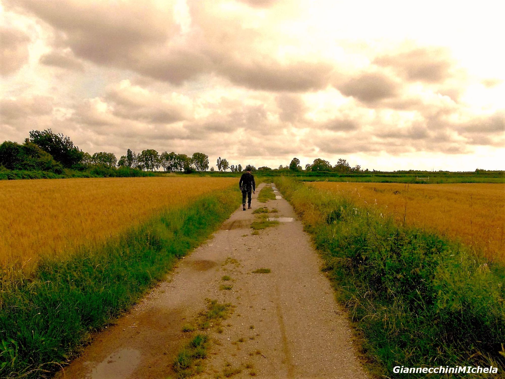 Agricoltura, “cresce l’export toscano ma occorre innovarsi”