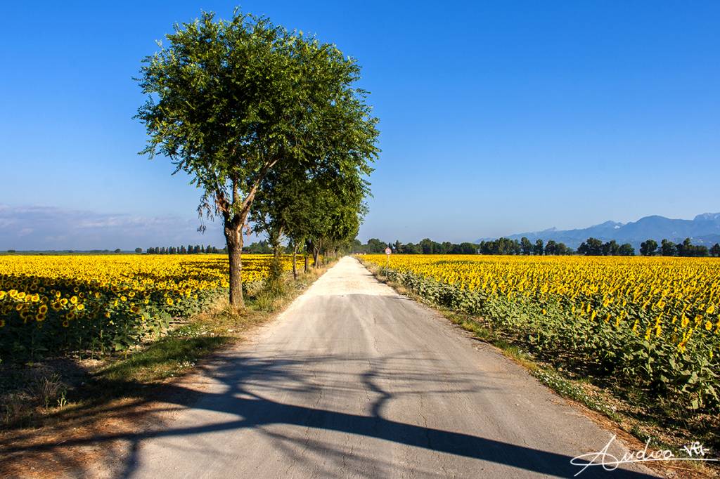 Toscana ovunque bella