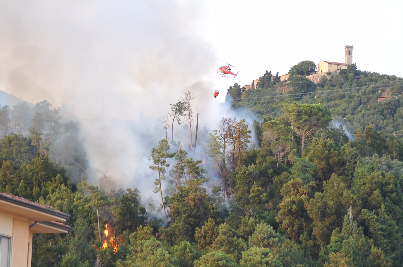 Appiccano il fuoco ai boschi nei pressi di Villa Le Pianore