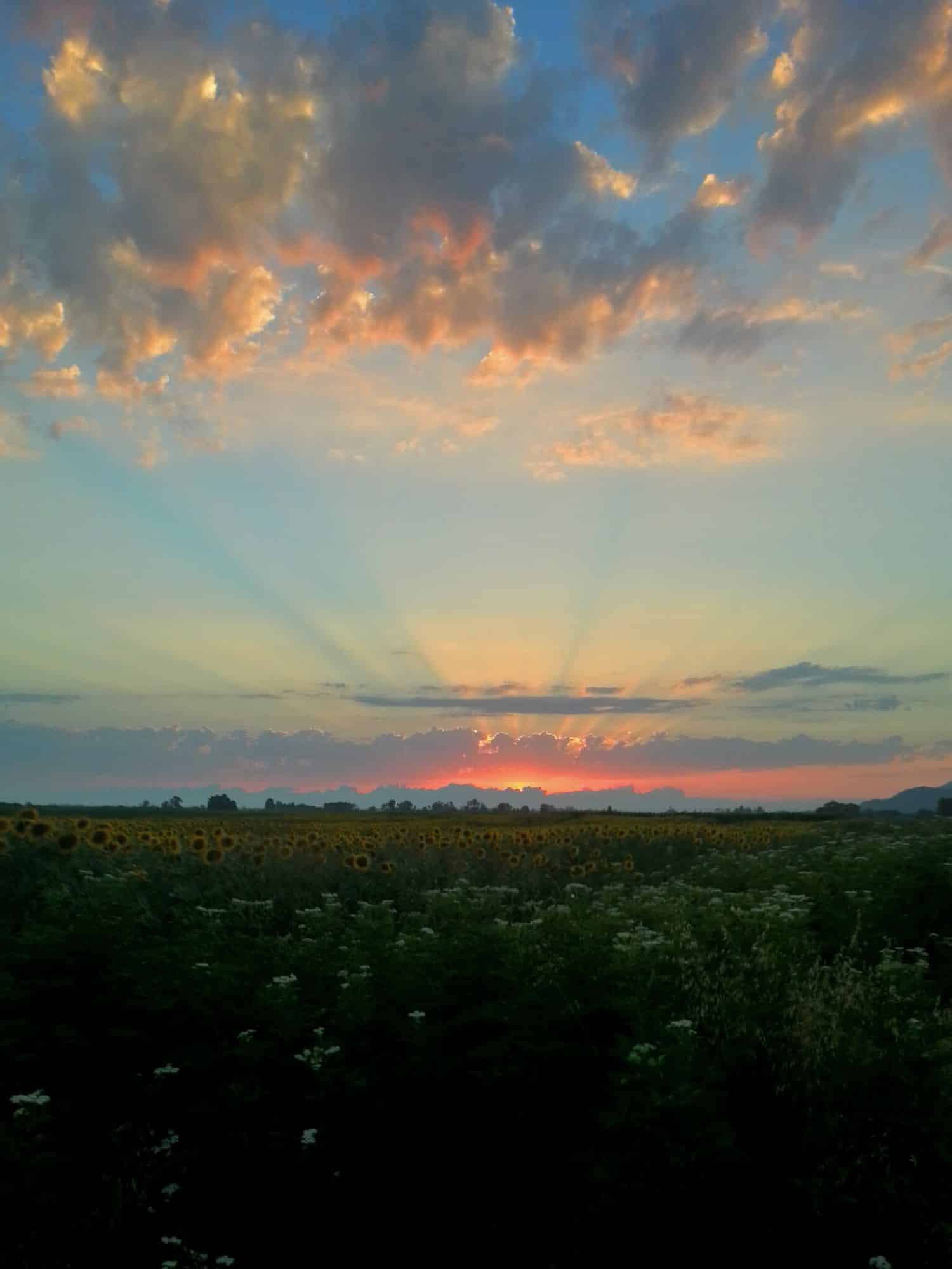 Tramonto a Massarosa