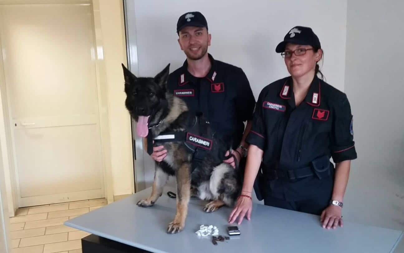 Controlli in Pineta. Arrestato uno spacciatore