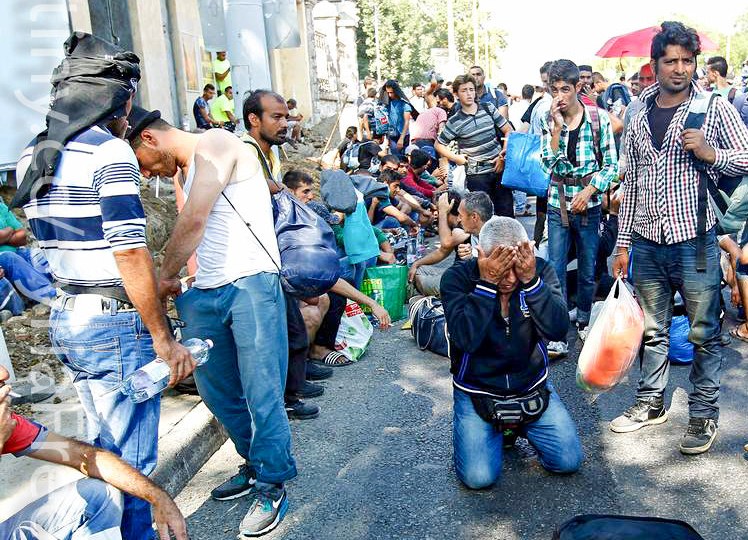 rifugiati profughi migranti