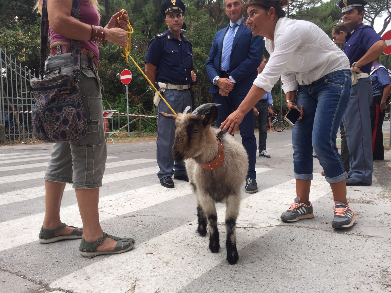 Alla Versiliana con una capra al guinzaglio