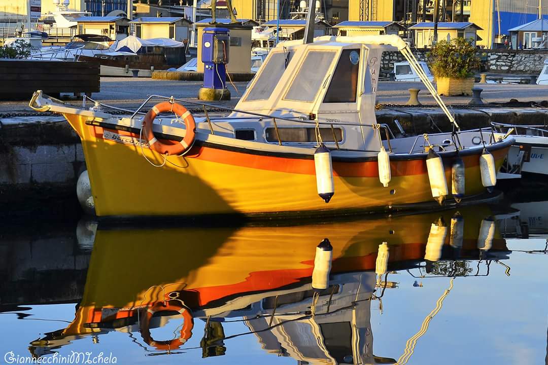 Ceccardi e Montemagni (Lega): “Pescatori di Viareggio penalizzati”