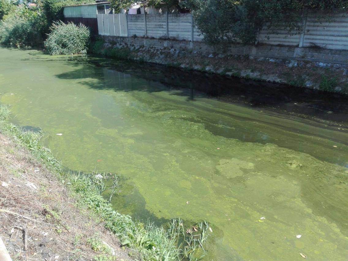 Divieto di pesca sul Fosso Farabola