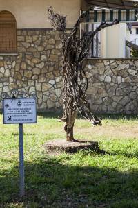 sedicente morandi piazza santa caterina