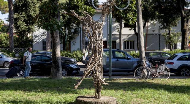 &#8220;Un lupo non ulula alle radici&#8221;, in piazza Santa Caterina la scultura di Sedicente Morandi