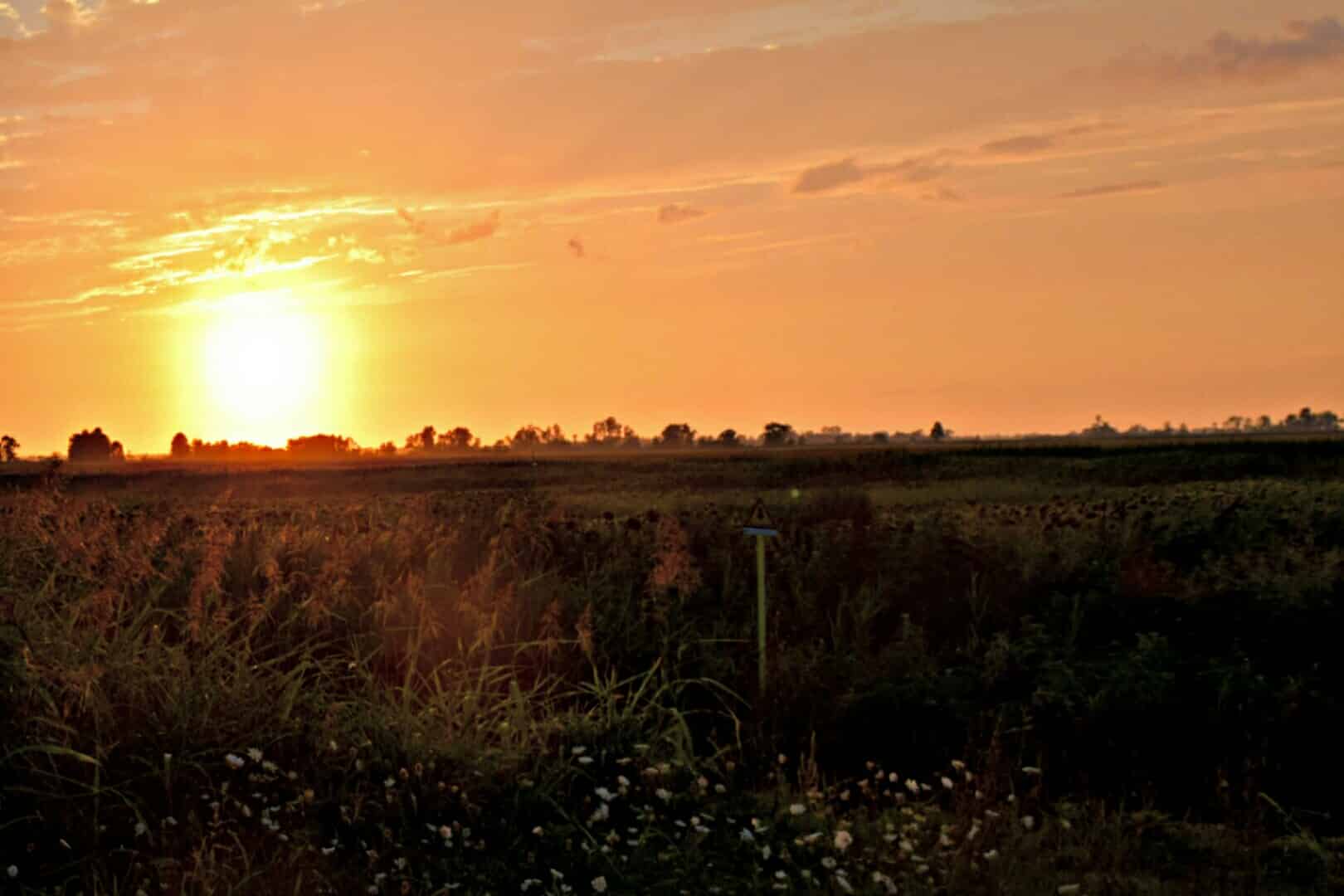 Tramonto sui campi