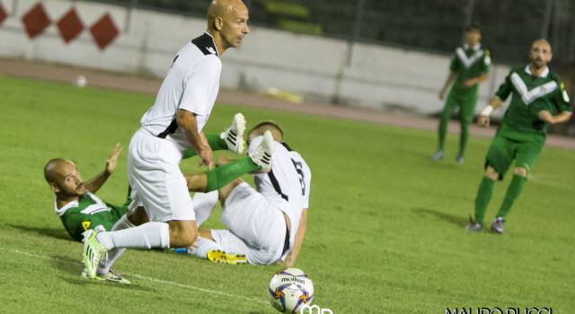 Real Forte Querceta, appiedati Fabio Biagini e il tecnico Pagliuca