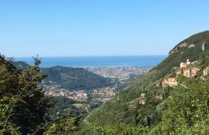 Città di Camaiore