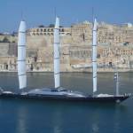 Falcone Maltese