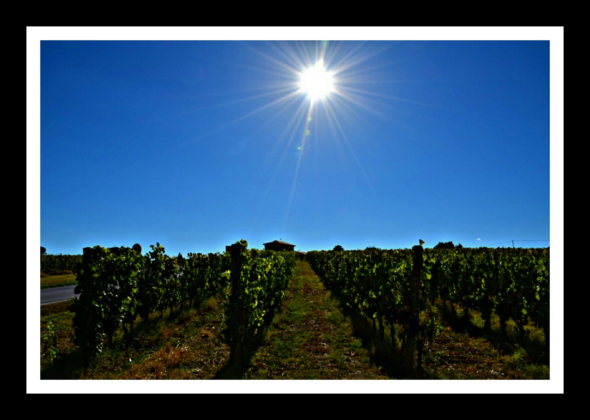 Settembre in campagna