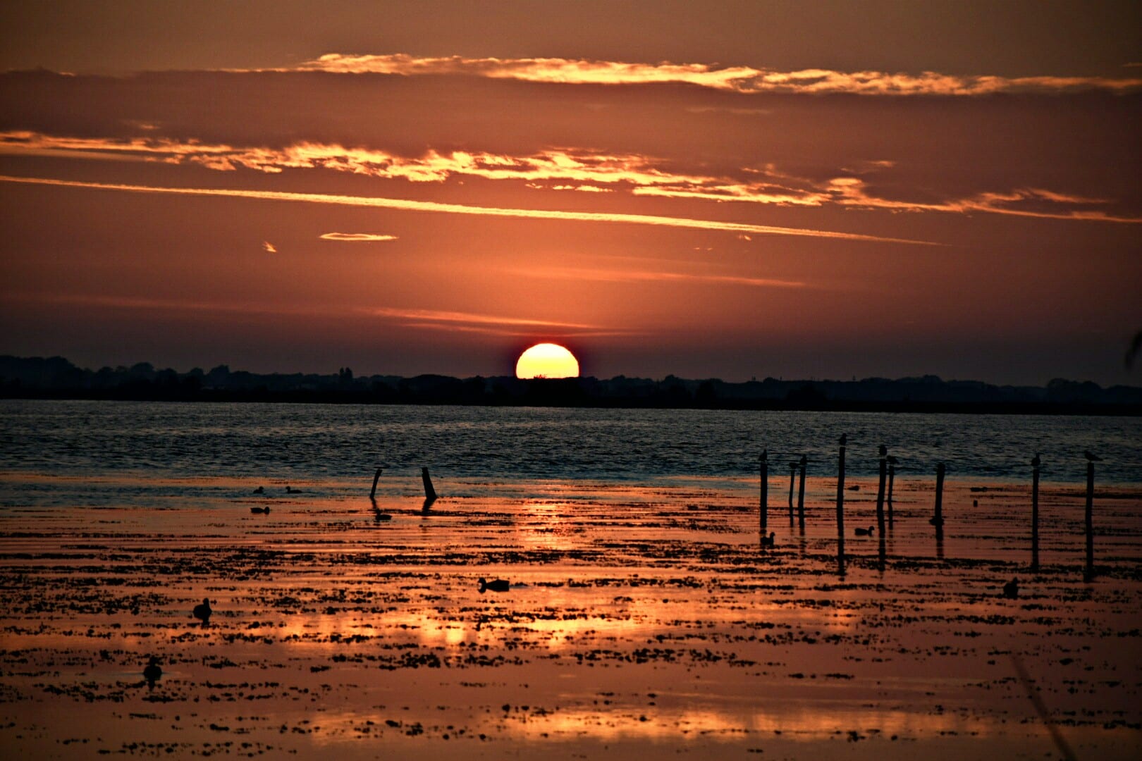 Tramonto sul lago di Massaciuccoli