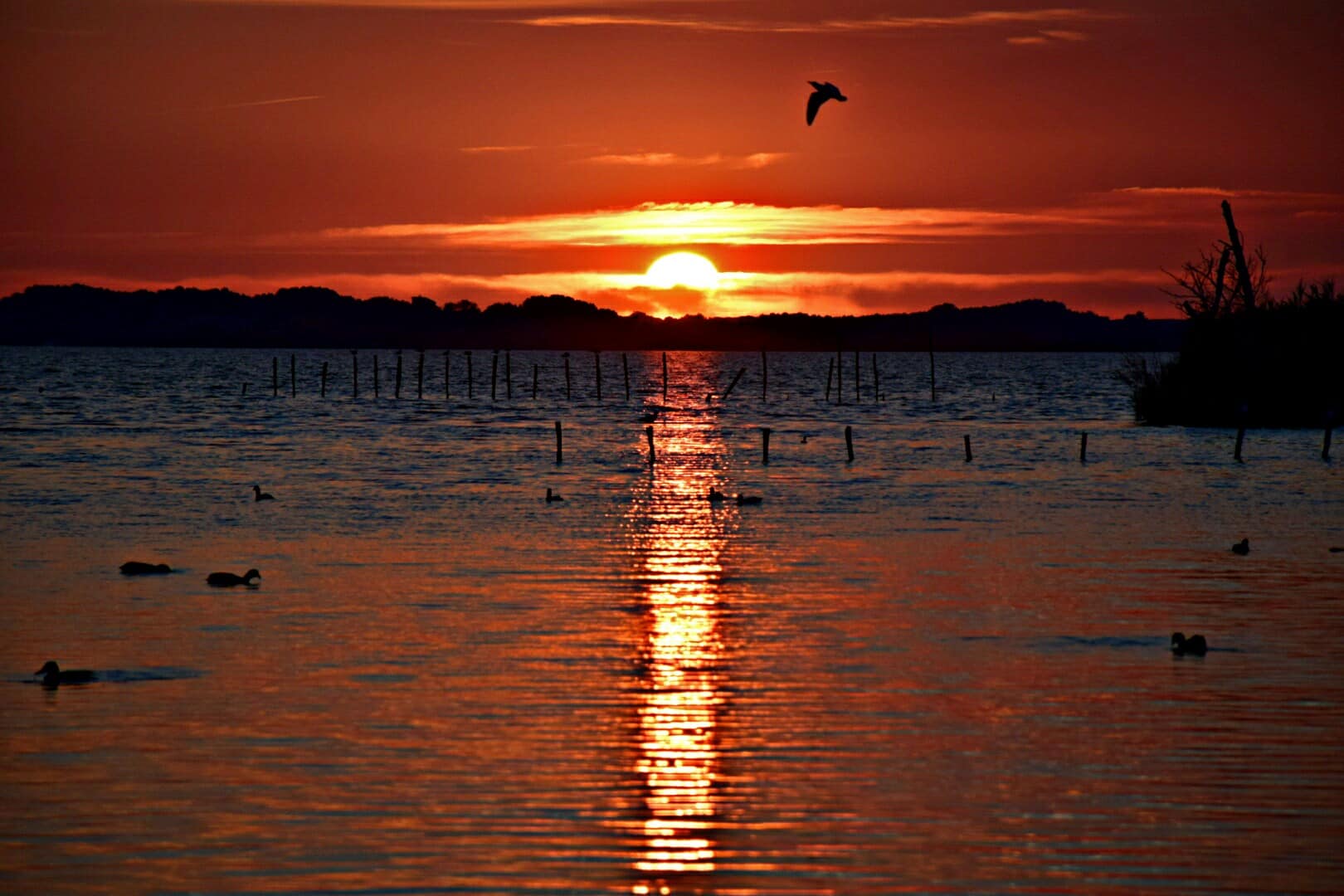 Il sole nel lago