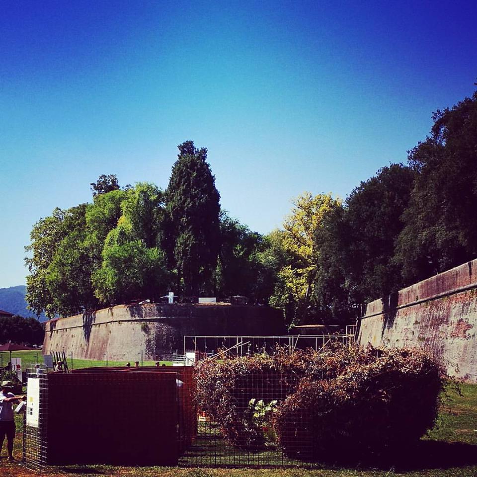 murabilia mura lucca
