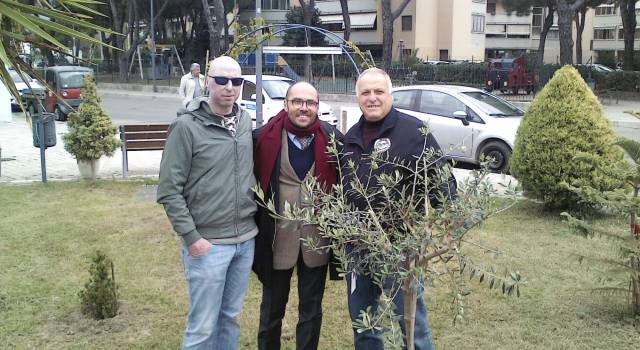 Il nuovo ulivo al parco degli Angeli lo porta il Commissario Prefettizio