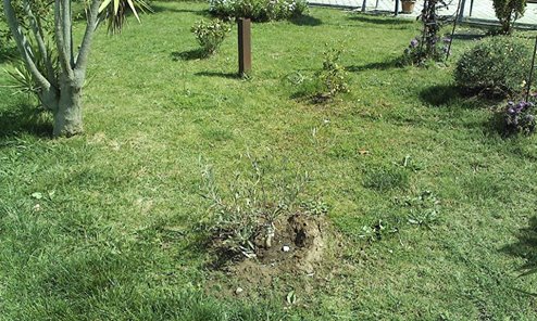 Vandalismo al parco realizzato in memoria delle vittime della strage