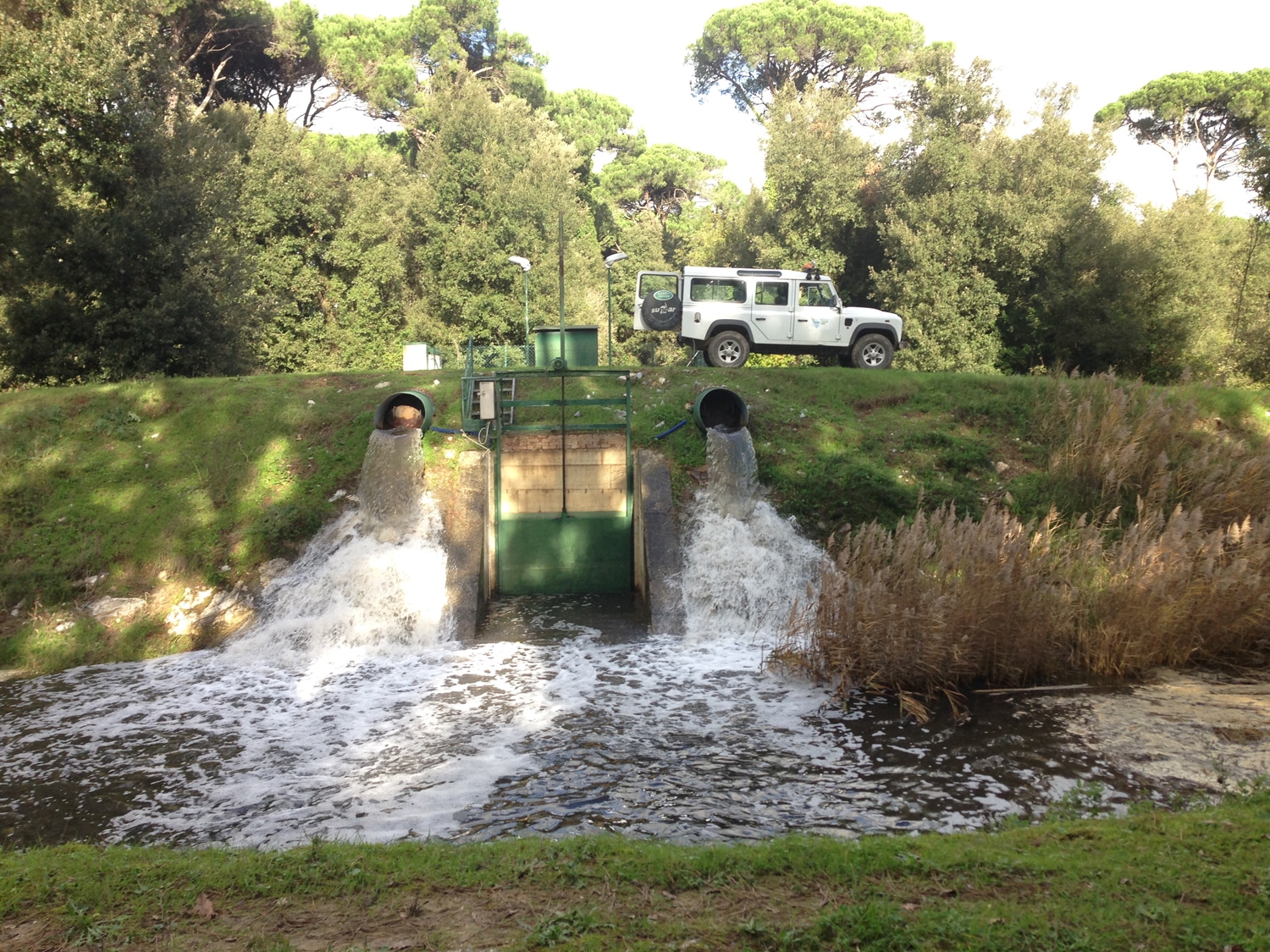 Accesa la Bufalina per far scendere il livello delle acque del lago