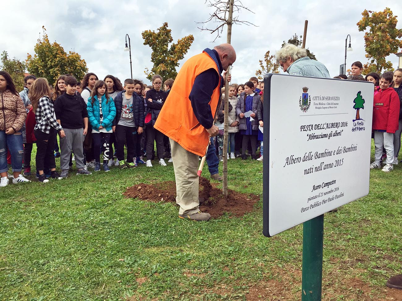 Al via la Festa dell’Albero a Seravezza