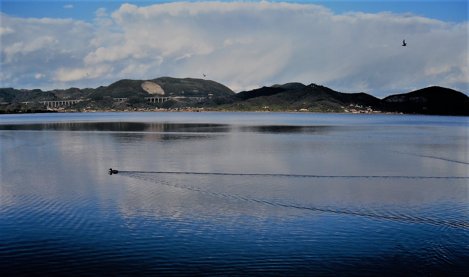 Sulla riva del lago