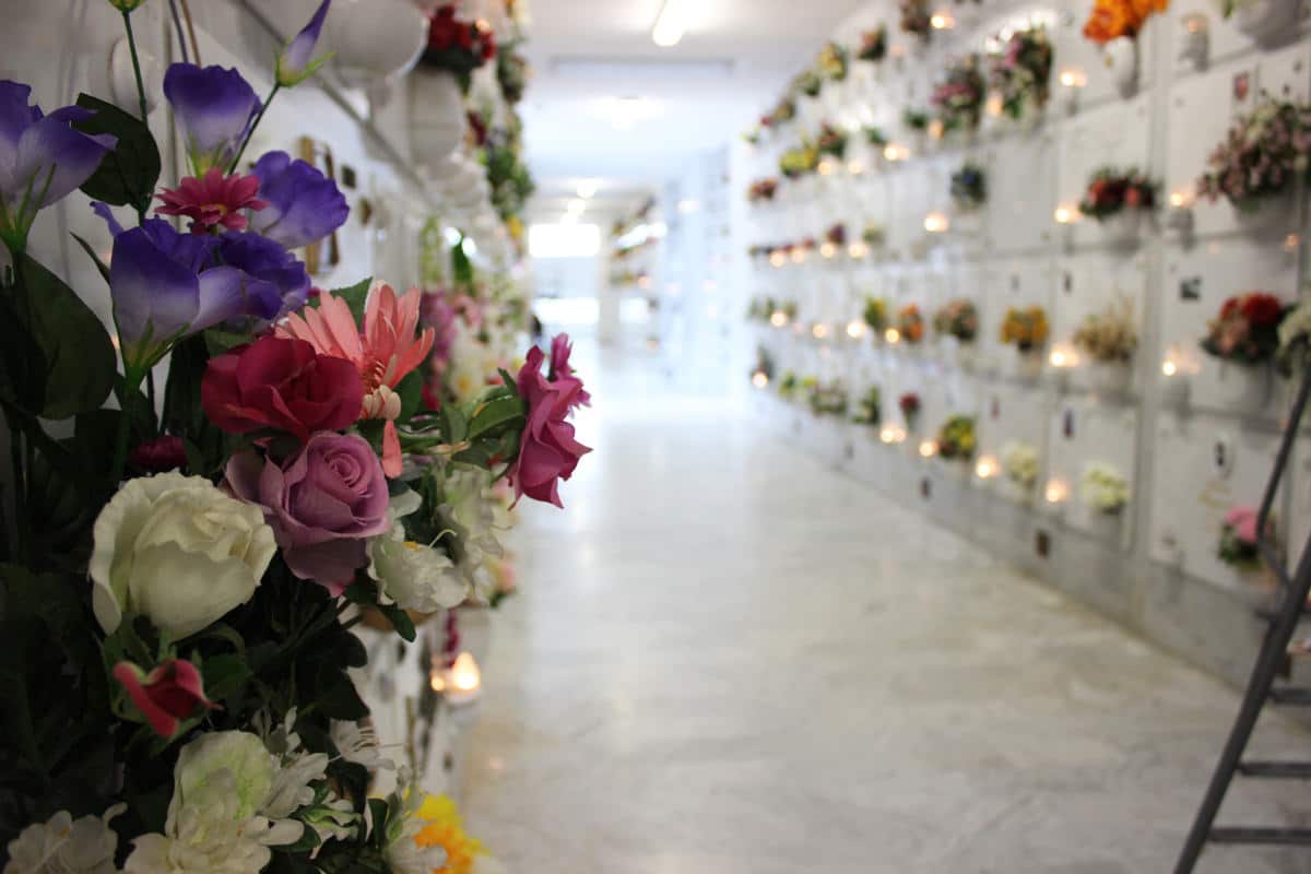 Cimiteri, a Pietrasanta nuovi loculi