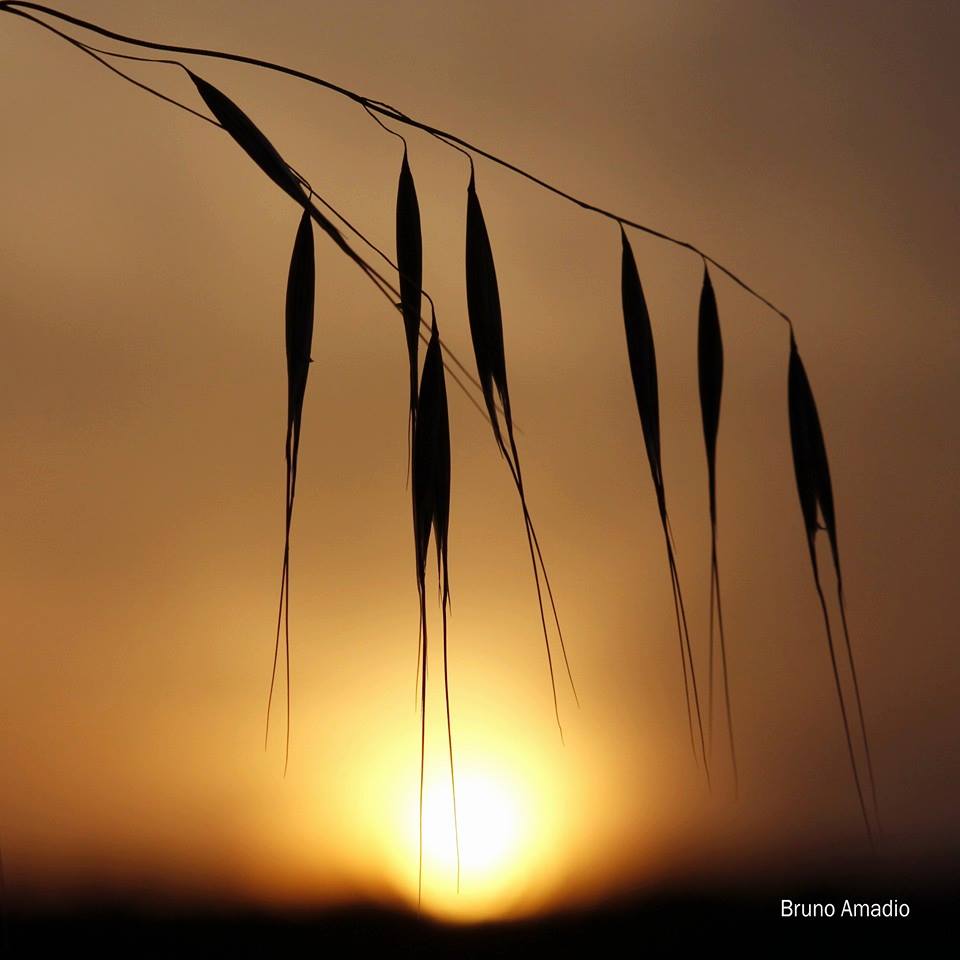 “Tramontitaliani”, vince la foto di Bruno Amadio