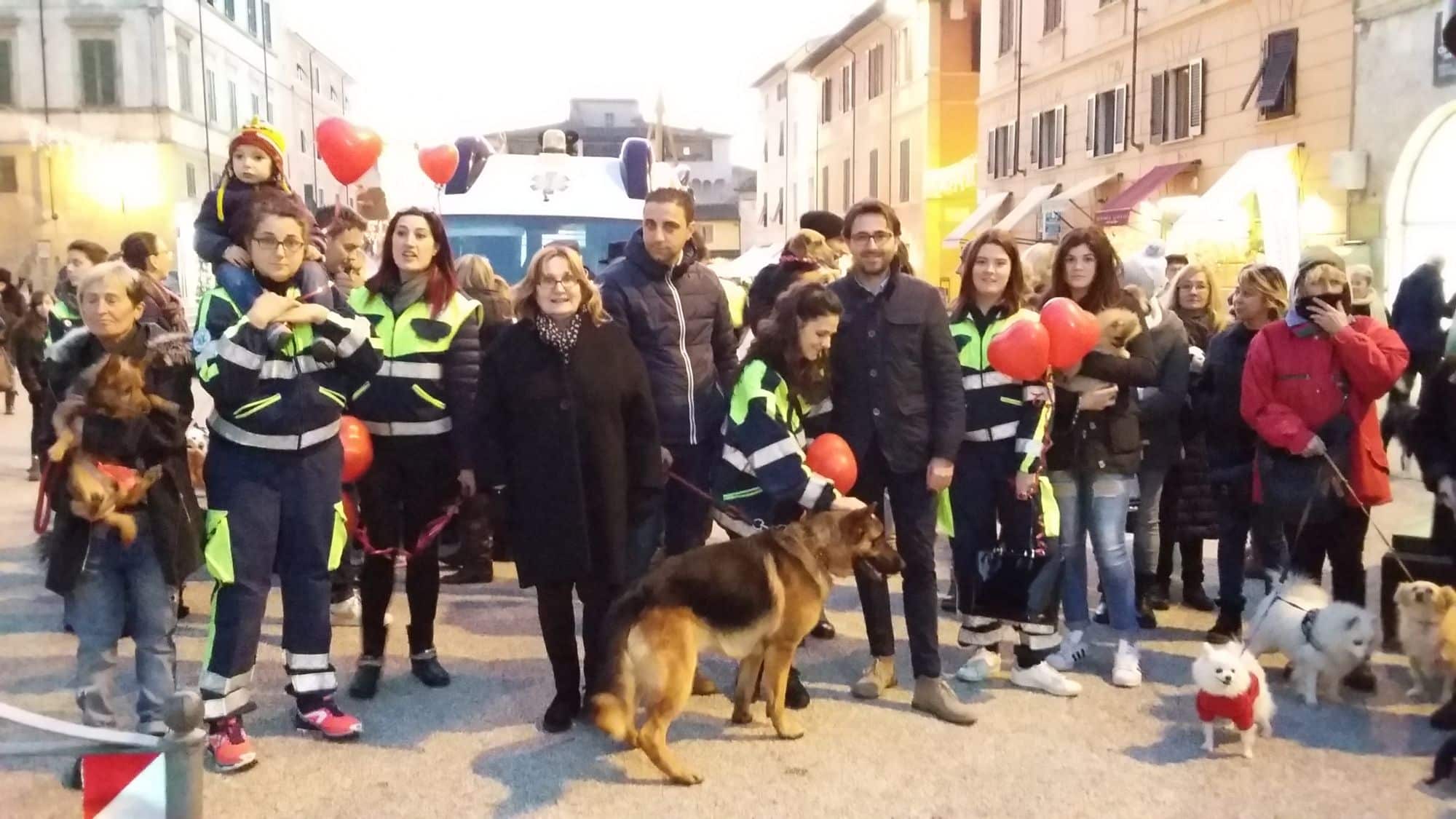 #Pietrasantaloveanimals, l’ambulanza per gli amici a quattro zampe