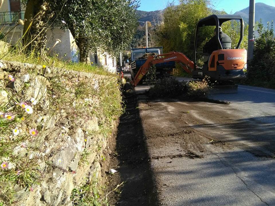 pietrasanta pulizia zanelle