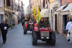 foto-trattori-centro-storico-pietrasanta