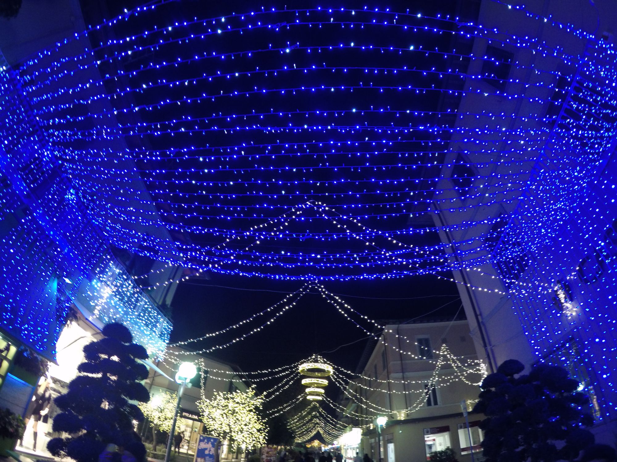 Si accendono le luci di Natale a Forte dei Marmi