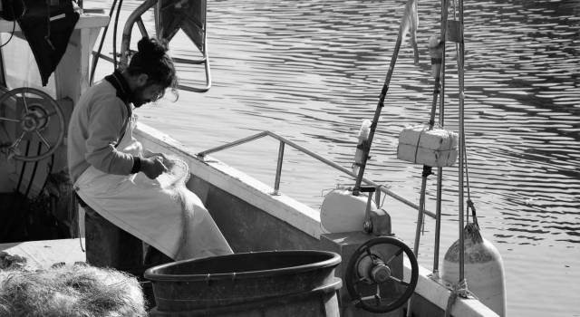 Pesca, in 30 anni Viareggio dimezza la sua flotta