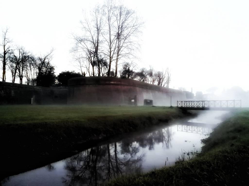 immagina lucca