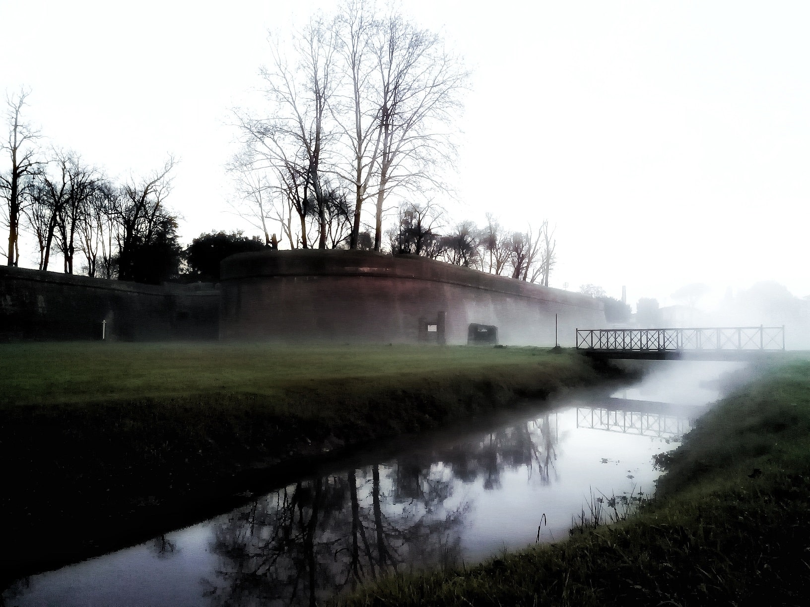 immagina lucca