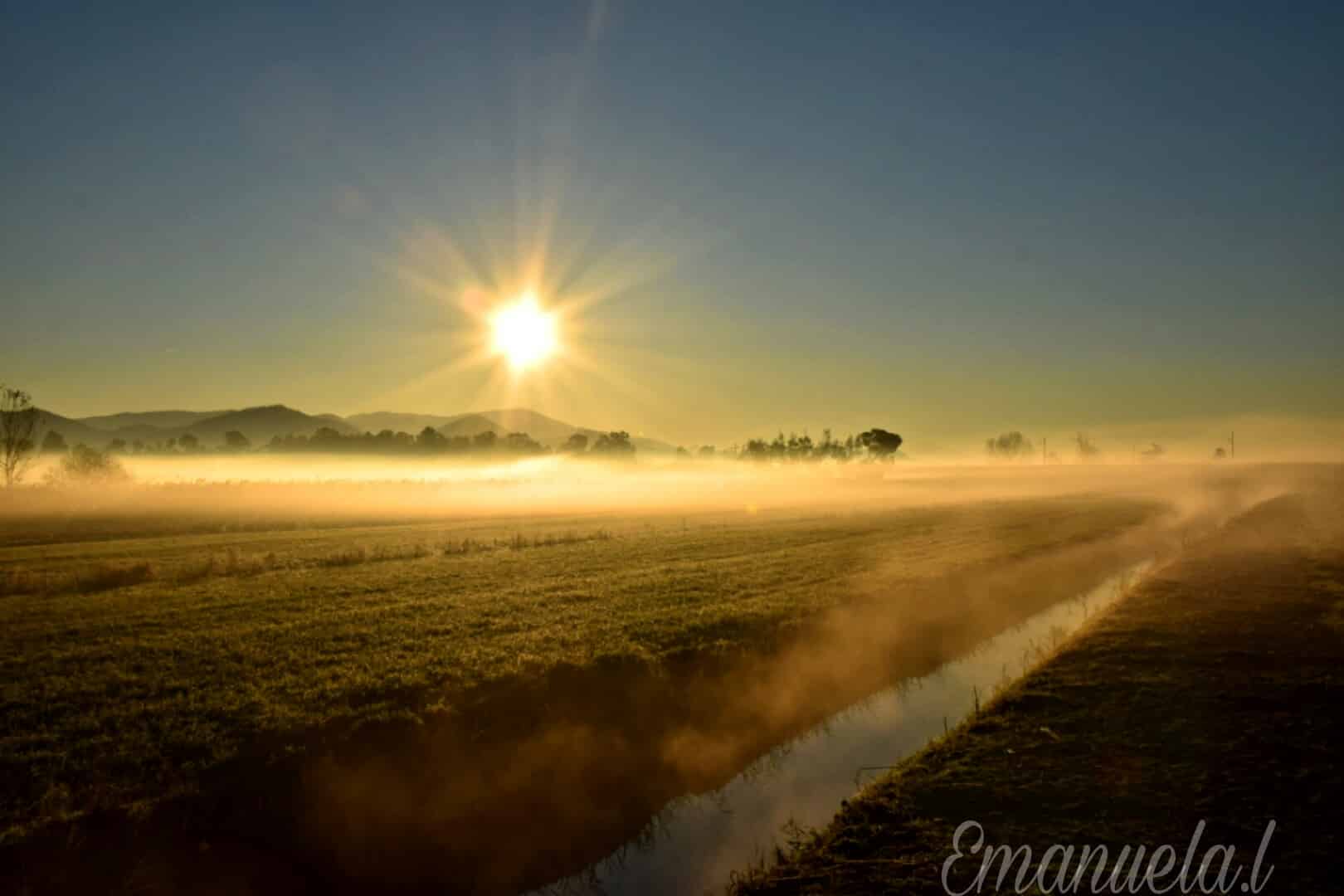 Tra la nebbia