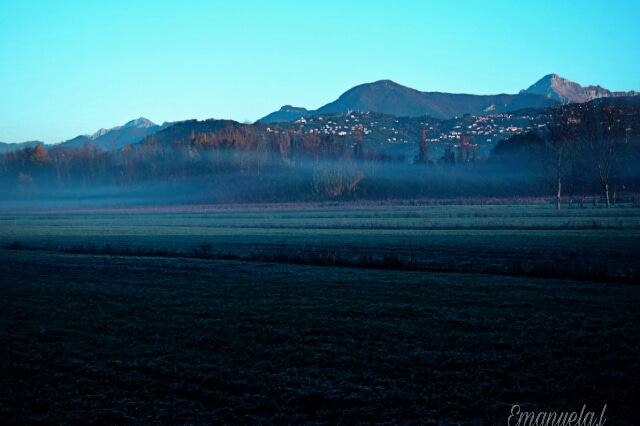 Nebbia