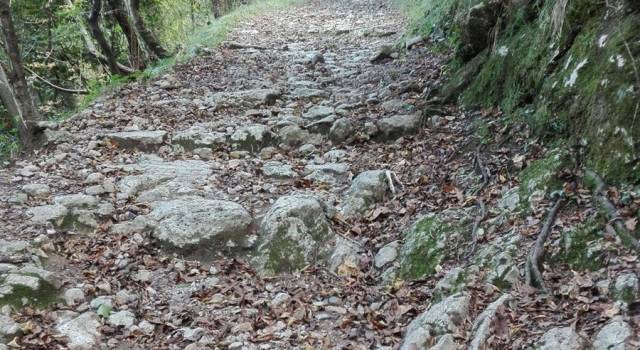 Proseguono i lavori di ripristino degli antichi sentieri a Camaiore