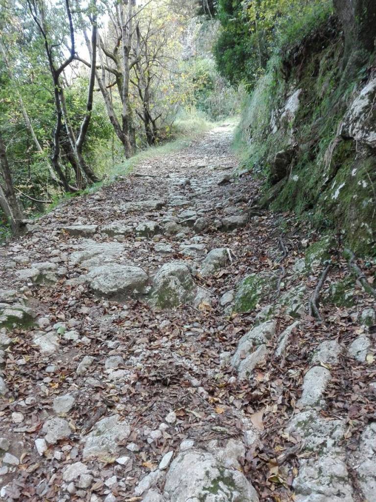 sentieri camaiore candalla