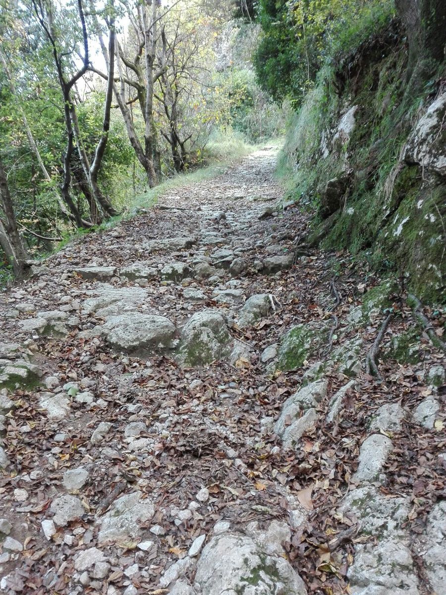 Proseguono i lavori di ripristino degli antichi sentieri a Camaiore