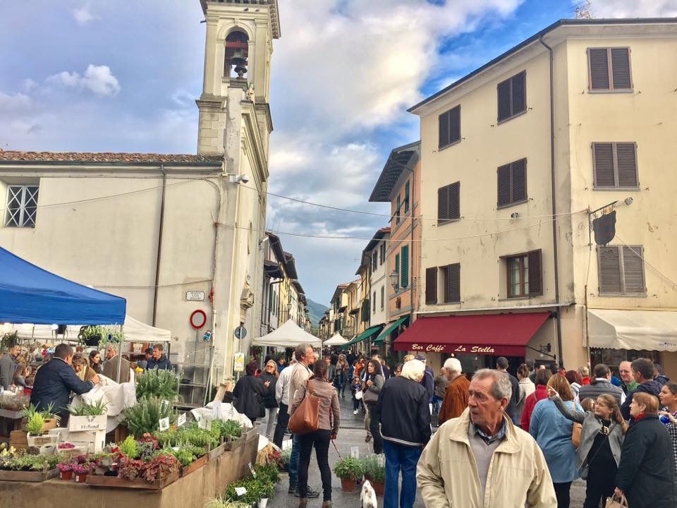 Assemblea per il rinnovo del consiglio del Centro Commerciale Naturale a Camaiore