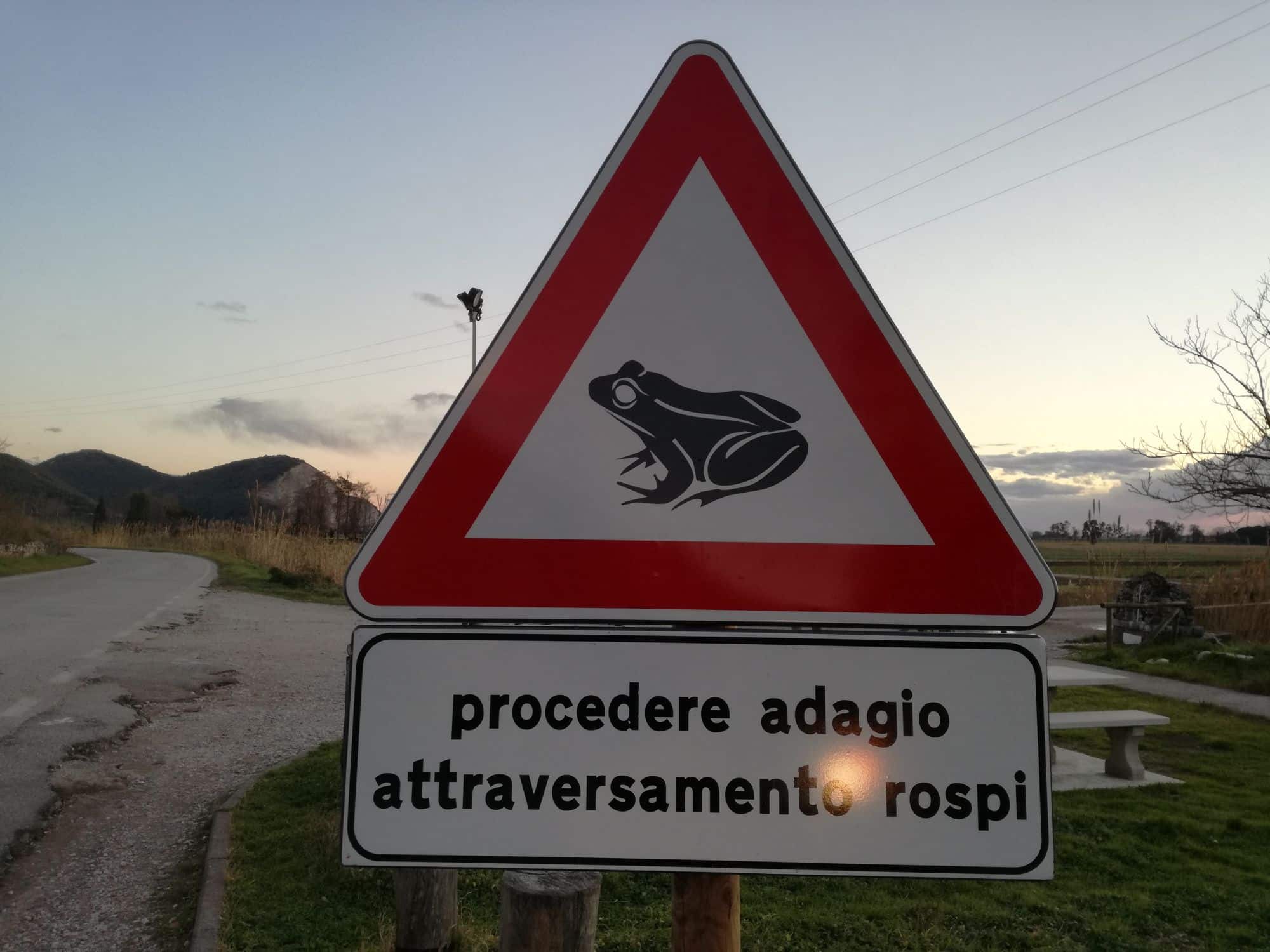 Attraversamento rospi, spunta uno strano cartello per le strade