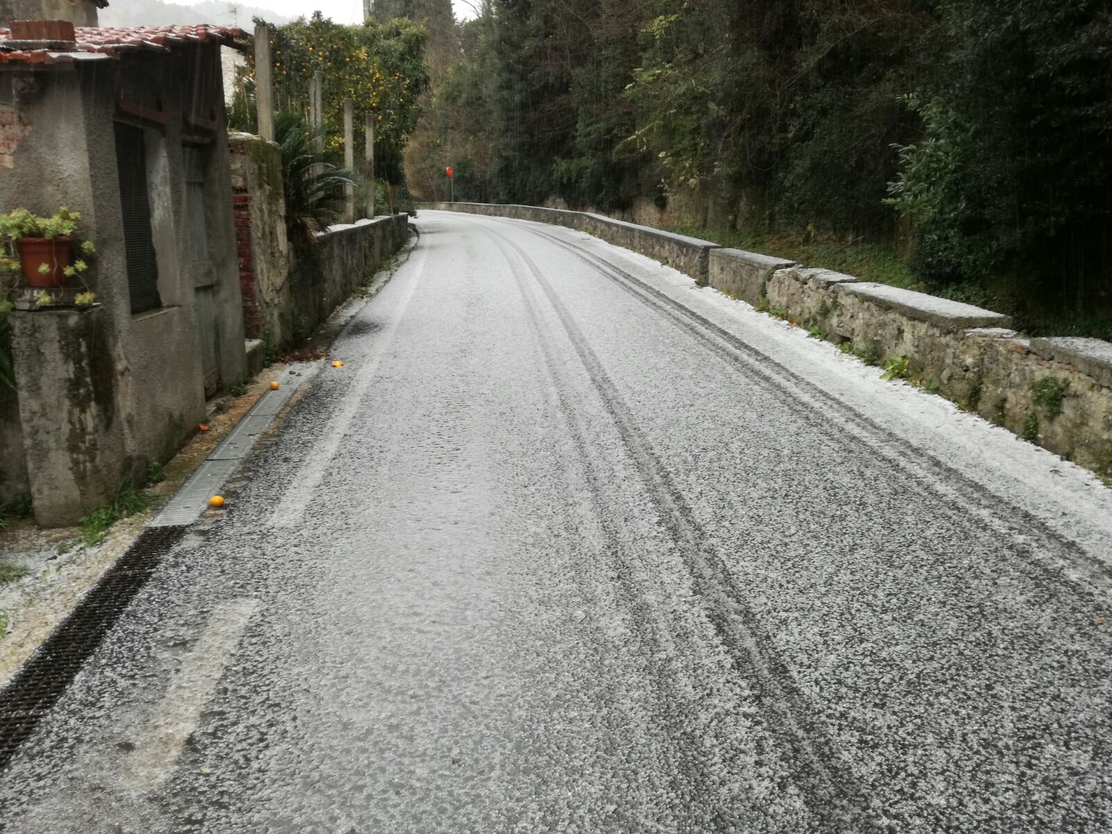 Maltempo, vento e grandine su tutta la Versilia