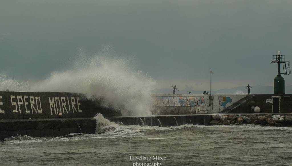 mare