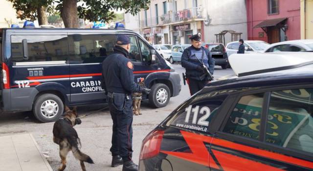 Spaccio di stupefacenti, quattro arresti a Viareggio