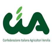 logo cia versilia